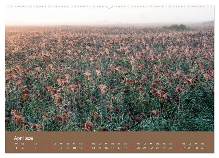 Produktbild: Der Federsee - Vogelparadies in Oberschwaben (hochwertiger Premium Wandkalender 2026 DIN A2 quer), Kunstdruck in Hochglanz