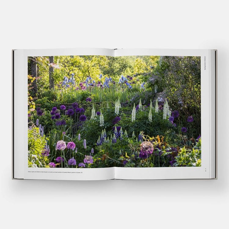 Produktbild: The Seasonal Gardener: Creative Planting Combinations