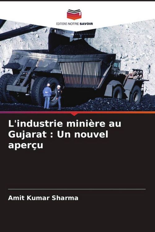 Produktbild: L'industrie mini&egrave;re au Gujarat : Un nouvel aper&ccedil;u