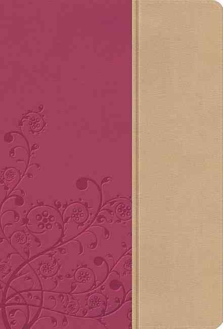 Produktbild: B-Nk-Nel Duo 1923pe Nx 2/e