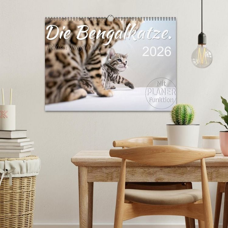 Produktbild: Die Bengalkatze. Edition Jungtiere (Wandkalender 2026 DIN A3 quer), CALVENDO Monatskalender