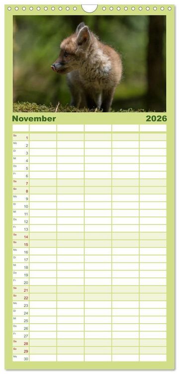 Produktbild: Familienplaner 2026 - Bei den Jungf&uuml;chsen mit 5 Spalten (Wandkalender, 21 x 45 cm) CALVENDO