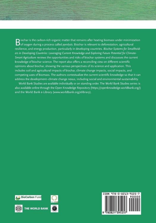Produktbild: Biochar Systems for Smallholders in Developing Countries