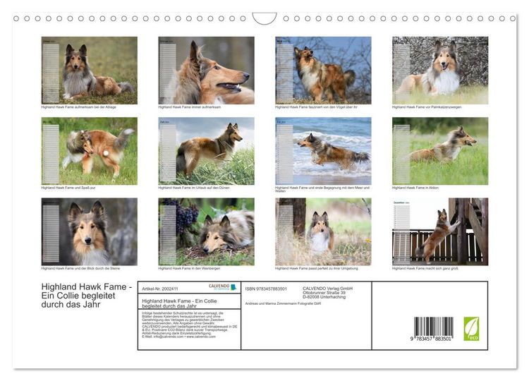 Produktbild: Highland Hawk Fame - Ein Collie begleitet durch das Jahr (Wandkalender 2026 DIN A3 quer), CALVENDO Monatskalender