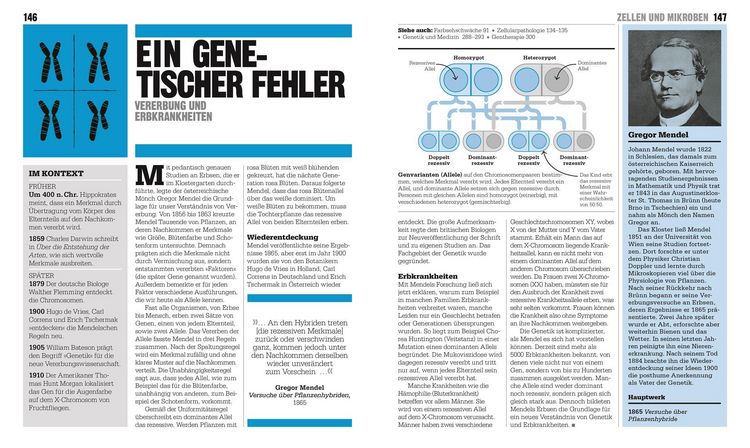 Produktbild: Big Ideas. Das Medizin-Buch