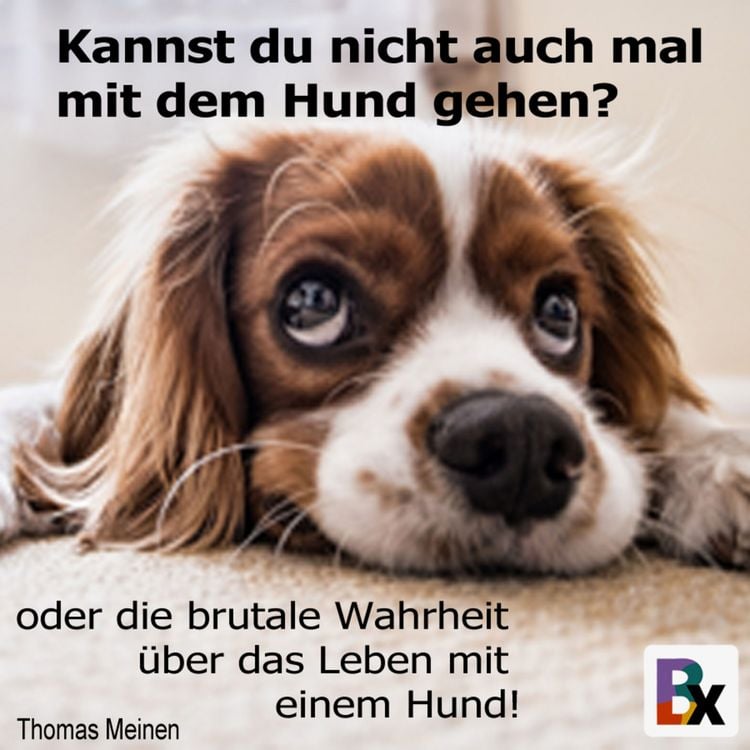 Produktbild: Kannst du nicht auch mal mit dem Hund gehen?