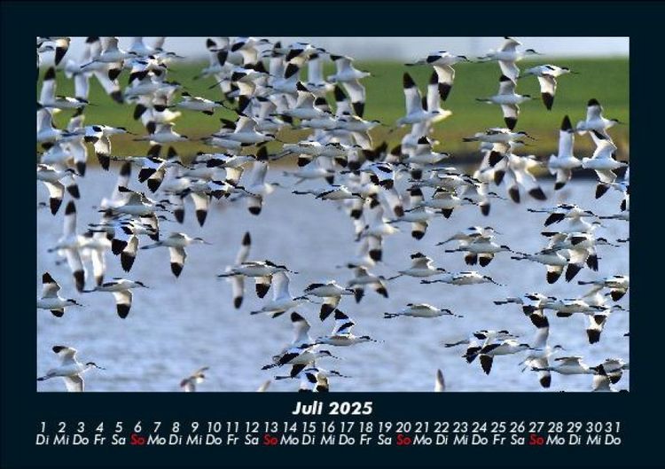 Produktbild: Nordsee 2025 Fotokalender DIN A5