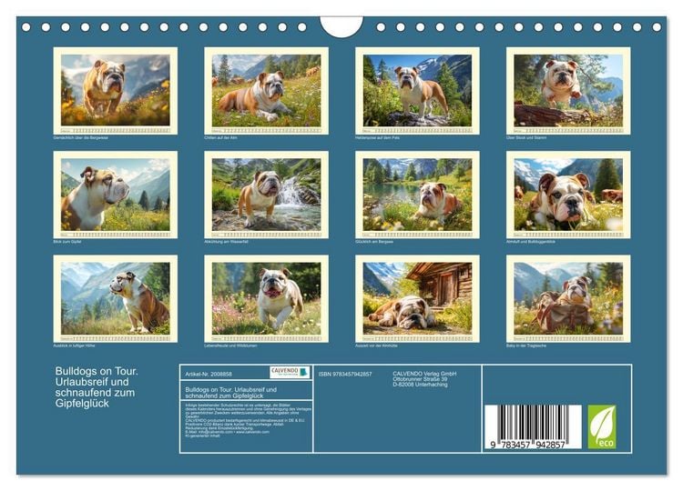 Produktbild: Bulldogs on Tour. Urlaubsreif und schnaufend zum Gipfelgl&uuml;ck (Wandkalender 2026 DIN A4 quer), CALVENDO Monatskalender