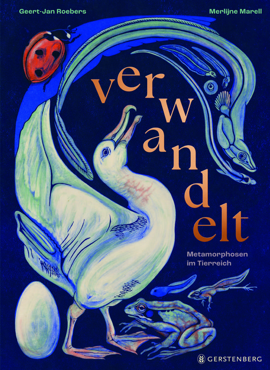 Produktbild: Verwandelt