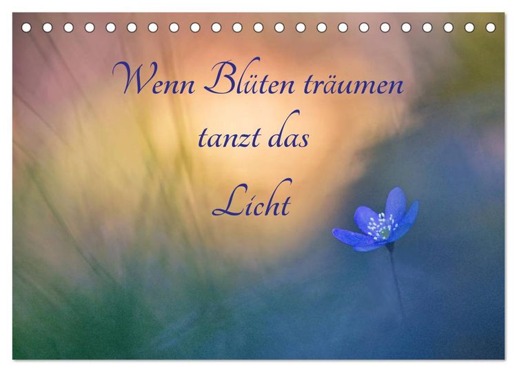 Produktbild: Wenn Bl&uuml;ten tr&auml;umen tanzt das Licht (Tischkalender 2026 DIN A5 quer), CALVENDO Monatskalender
