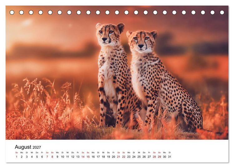 Produktbild: Eleganz und Instinkt - die beeindruckende Welt der Geparden (Tischkalender 2027 DIN A5 quer), CALVENDO Monatskalender