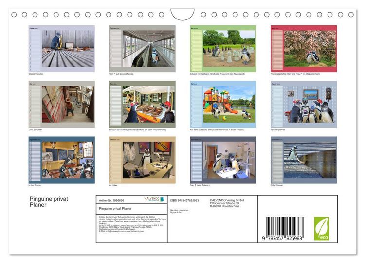 Produktbild: Pinguine privat Planer (Wandkalender 2026 DIN A4 quer), CALVENDO Monatskalender