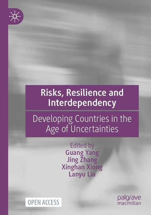 Produktbild: Risks, Resilience and Interdependency