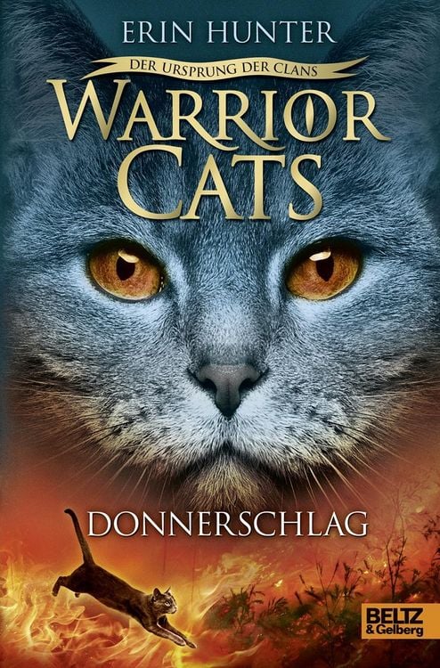 Produktbild: Donnerschlag / Warrior Cats 5 Bd.2