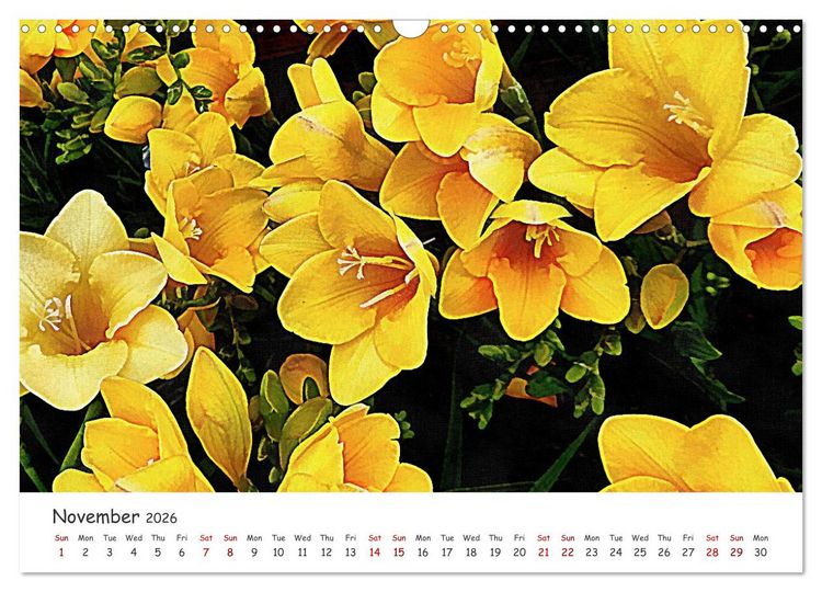 Produktbild: Vivacious Florals (Wall Calendar 2026 DIN A3 landscape), CALVENDO 12 Month Wall Calendar