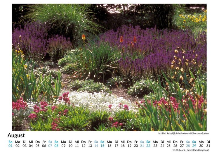 Produktbild: Gartenteiche