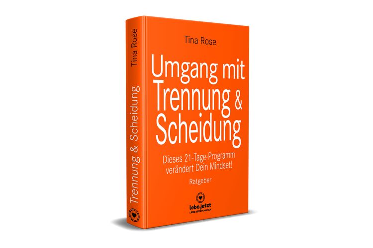 Produktbild: Umgang mit Trennung und Scheidung | Ratgeber