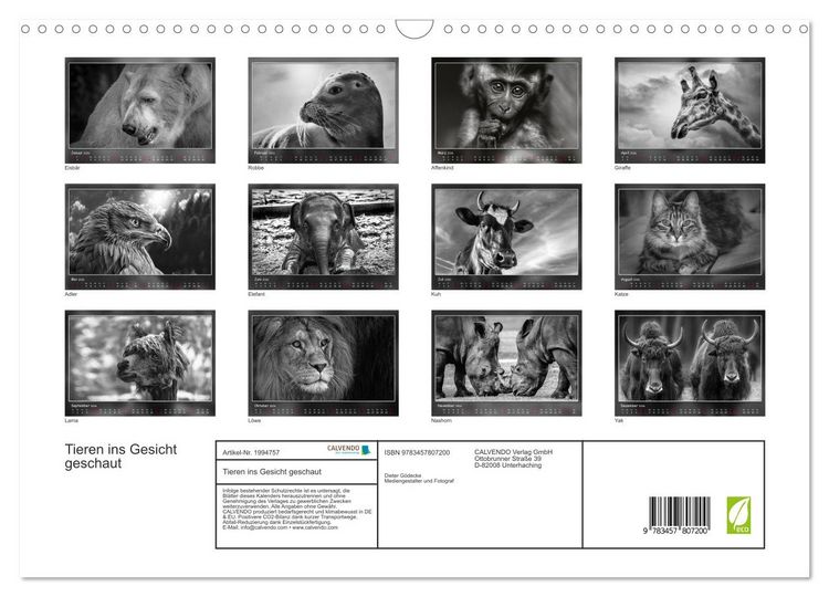 Produktbild: Tieren ins Gesicht geschaut (Wandkalender 2026 DIN A3 quer), CALVENDO Monatskalender
