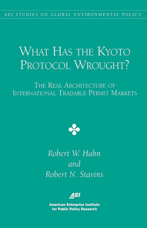 Produktbild: What has the KYOTO PROCTOCOL Wrought?