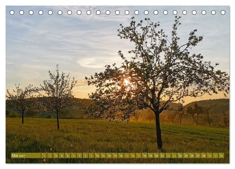 Produktbild: Apfelbaum und Streuobstwiesen (Tischkalender 2027 DIN A5 quer), CALVENDO Monatskalender