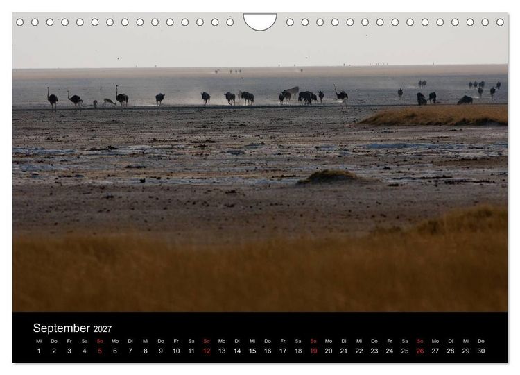 Produktbild: Wildlife Namibia (Wandkalender 2027 DIN A4 quer), CALVENDO Monatskalender