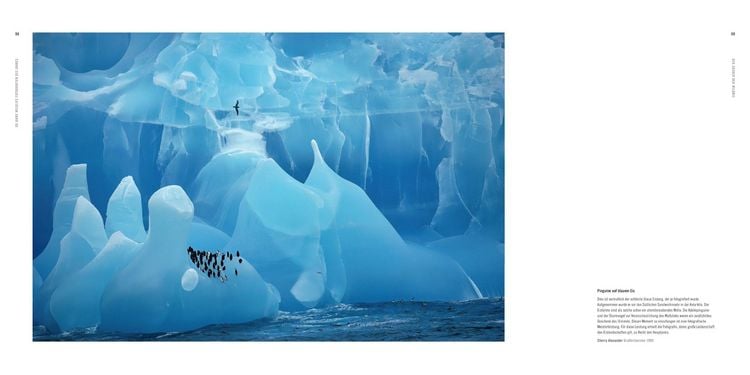 Produktbild: 60 Jahre Wildlife Fotografien des Jahres