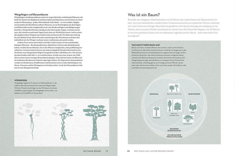 Produktbild: Atlas der W&auml;lder