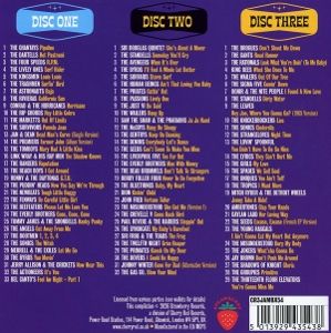 Produktbild: Steppin' Out-The Roots Of Garage Rock 1963-1965