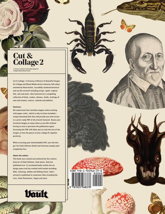Produktbild: Cut and Collage A Treasury of Bizarre and Beautiful Images for Collage and Mixed Media Artists Volume.2
