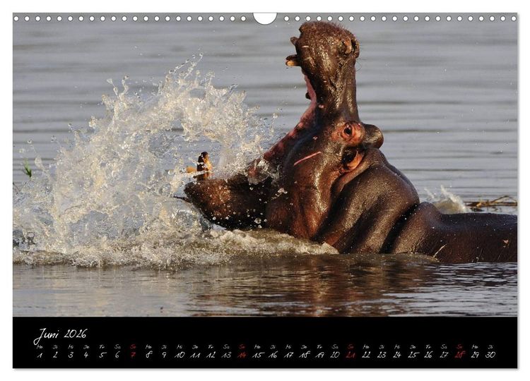 Produktbild: S&uuml;dafrika (Wandkalender 2026 DIN A3 quer), CALVENDO Monatskalender