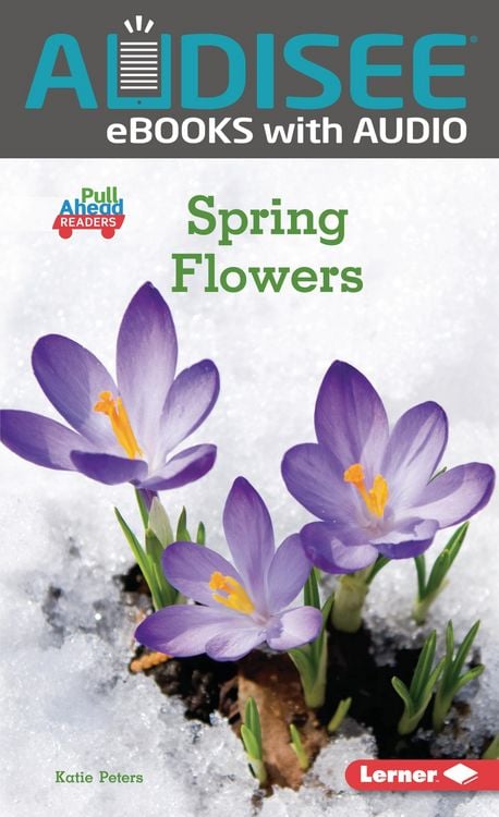 Produktbild: Spring Flowers
