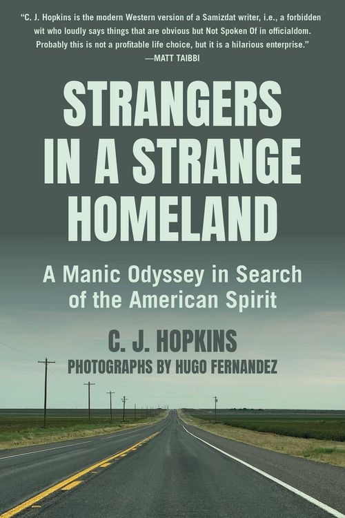 Produktbild: Strangers in a Strange Homeland