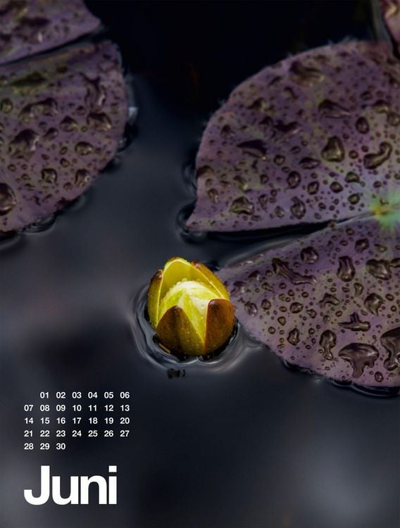 Produktbild: Fr&uuml;hling, Sommer, Herbst & Winter Kalender 2027