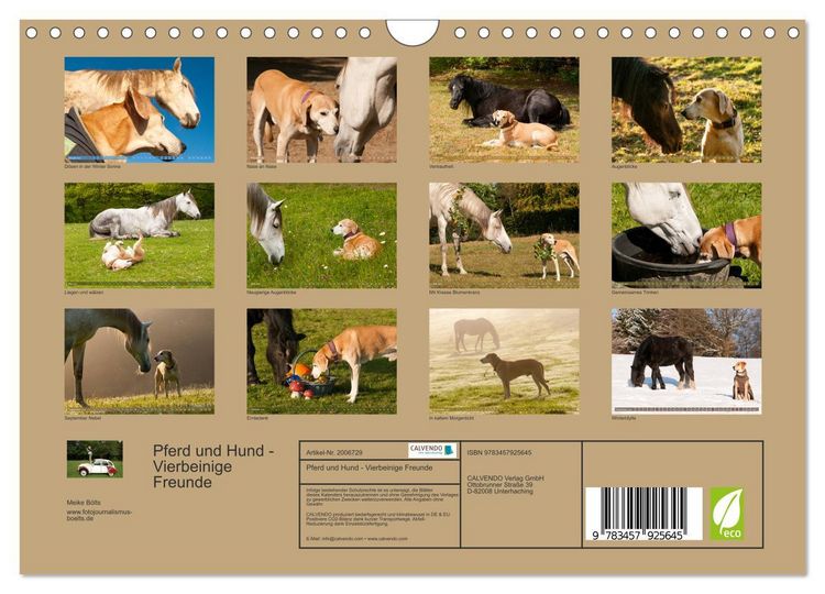 Produktbild: Pferd und Hund - Vierbeinige Freunde (Wandkalender 2026 DIN A4 quer), CALVENDO Monatskalender