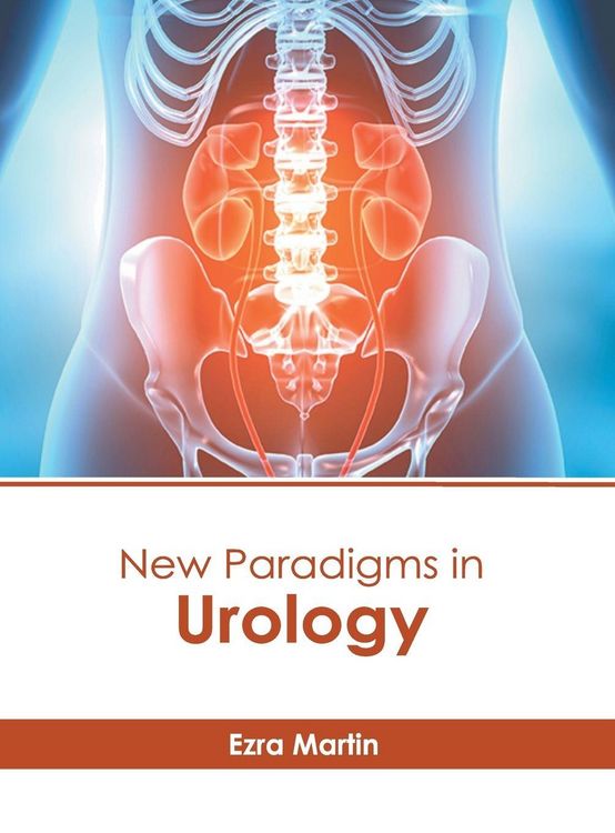 Produktbild: New Paradigms in Urology