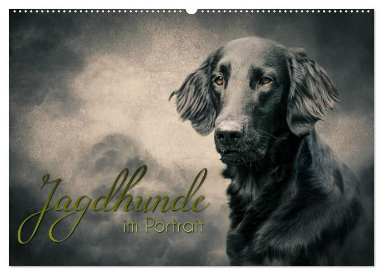 Produktbild: Jagdhunde im Portrait (Wandkalender 2026 DIN A2 quer), CALVENDO Monatskalender