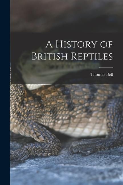 Produktbild: A History of British Reptiles