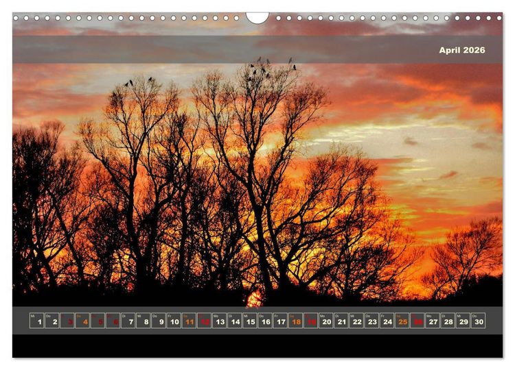Produktbild: Licht im Land (Wandkalender 2026 DIN A3 quer), CALVENDO Monatskalender