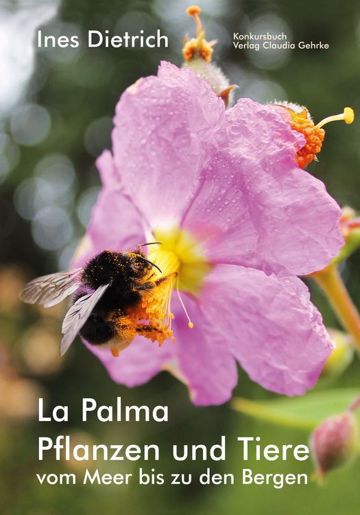 Produktbild: La Palma. Pflanzen und Tiere vom Meer bis zu den Bergen