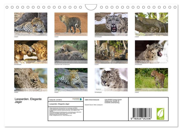 Produktbild: Leoparden. Elegante J&auml;ger (Wandkalender 2026 DIN A4 quer), CALVENDO Monatskalender