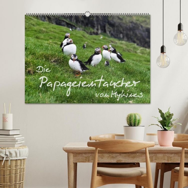 Produktbild: Die Papageientaucher von Mykines (Wandkalender 2026 DIN A2 quer), CALVENDO Monatskalender