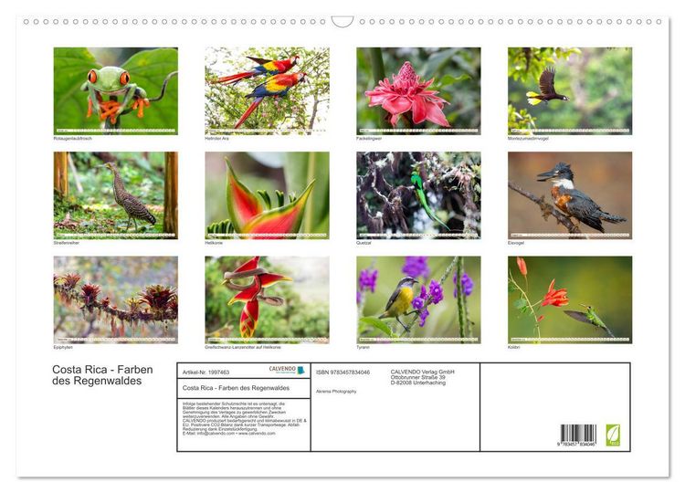 Produktbild: Costa Rica - Farben des Regenwaldes (Wandkalender 2026 DIN A2 quer), CALVENDO Monatskalender