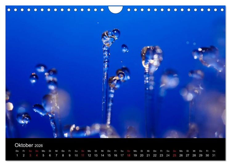 Produktbild: Wassertropfen (Wandkalender 2026 DIN A4 quer), CALVENDO Monatskalender
