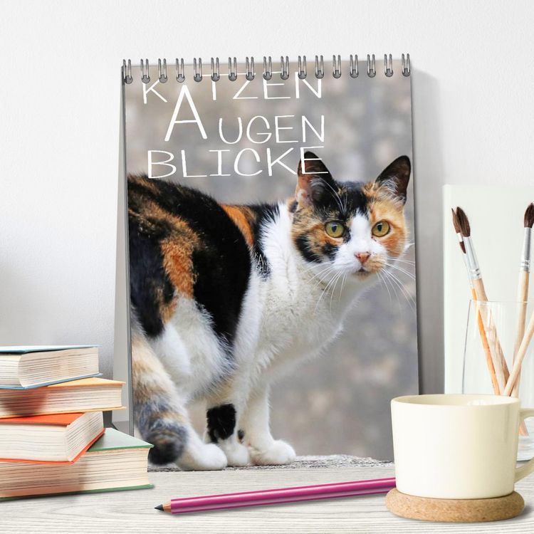 Produktbild: KATZEN AUGEN BLICKE (Tischkalender 2026 DIN A5 hoch), CALVENDO Monatskalender