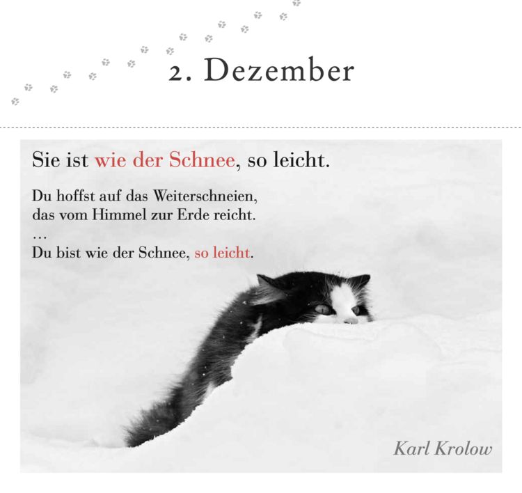 Produktbild: Der literarische Katzen-Adventskalender