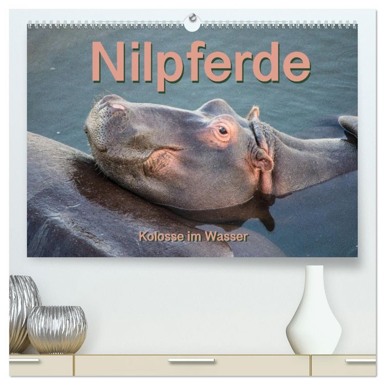 Produktbild: Nilpferde, Kolosse im Wasser (hochwertiger Premium Wandkalender 2026 DIN A2 quer), Kunstdruck in Hochglanz