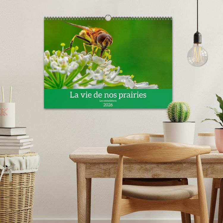 Produktbild: La vie de nos prairie, les ombellif&egrave;res (Calendrier mural 2026 DIN A3 vertical), CALVENDO calendrier mensuel