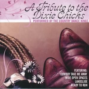 Produktbild: Tribute To The Dixie Chicks
