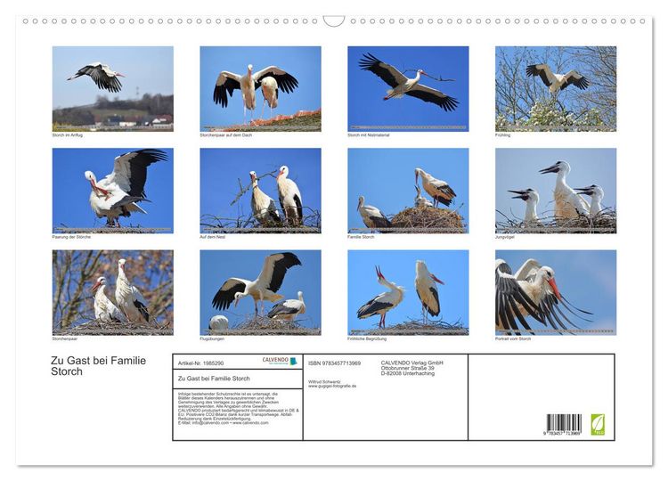 Produktbild: Zu Gast bei Familie Storch (Wandkalender 2026 DIN A2 quer), CALVENDO Monatskalender