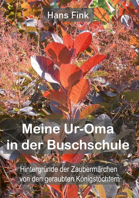 Produktbild: Meine Ur-Oma in der Buschschule